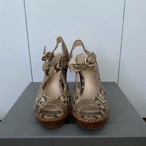 One of a kind! Coach Snakeskin Stacked Heel Sandal
